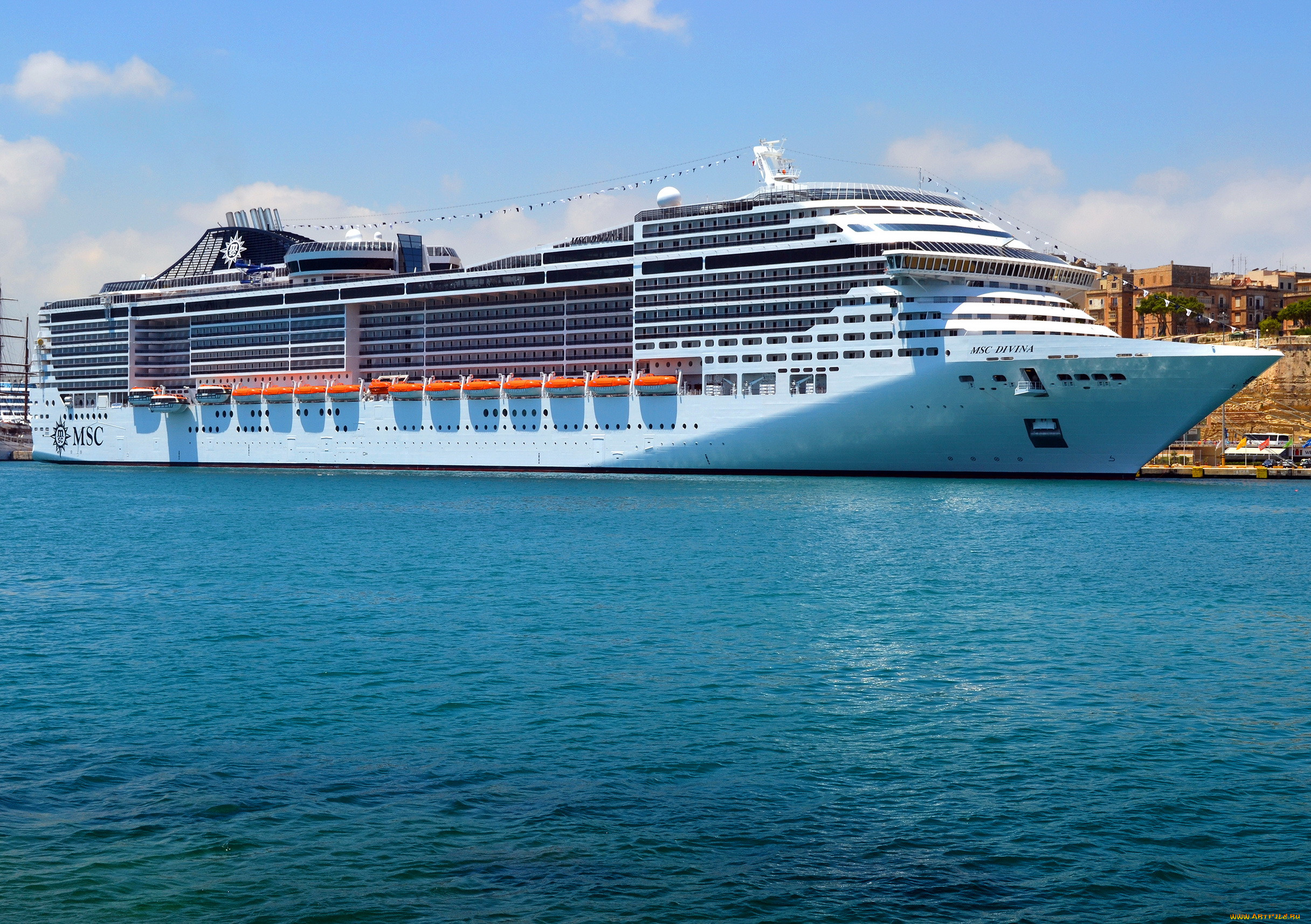 msc, divina, , , , , , 